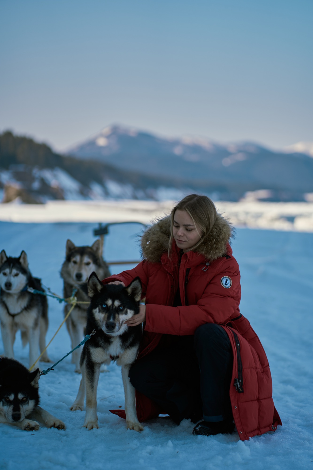 Dog sled crossing: 300 km over pack ice